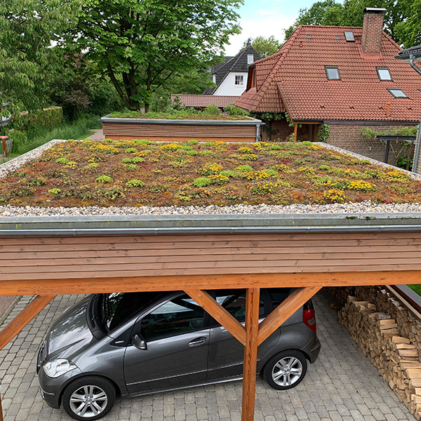 Carport Ausstattungselement Dachbegrünung