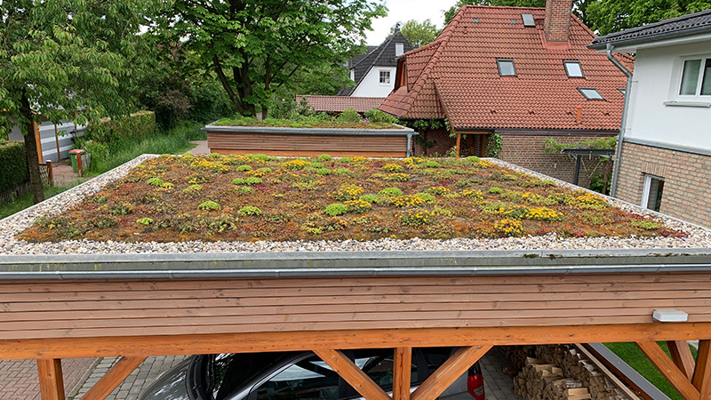 Carport Dacheindeckung: Dachbegrünung