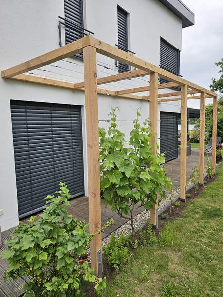 Pergola für Weinranken